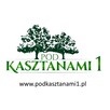 IMMUNITY STAR to ziołowe wsparcie odporności - 2