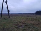 Sprzedam działkę 24737m2 pod inwestycje farmę Grabów Rycki - 4