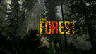 The forest pc steam + 50 gier - 1
