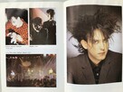 Dave Thompson, Jo Ann Greene: The Cure - 4