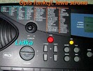 Sprzedam Electronic Keyboard MC-36. - 3