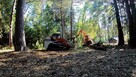 Mulczowanie | Karczowanie | Wycinka drzew, krzewów i samosie - 3