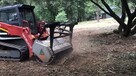 Mulczowanie | Karczowanie | Wycinka drzew, krzewów i samosie - 1