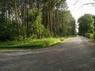 Budowlana do całorocznej zabudowy przy lesie w Świerczynie - 3