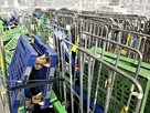 Wózek Magazynowy Transportowy Kurierski Rollkontener 80x70 - 11