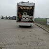 Transport Przeprowadzki Tragarze Ubezpieczenie Kraj Europa - 16