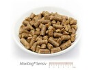 Karma Maxidog/ Maxicat Reico Vital Niemcy - 13