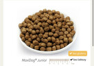 Karma Maxidog/ Maxicat Reico Vital Niemcy - 11