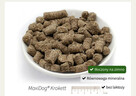 Karma Maxidog/ Maxicat Reico Vital Niemcy - 4
