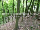 Działka budowlana Witoszyn gm. Kazimierz Dolny - 6
