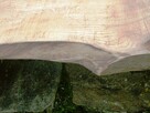 Dębowy blat , pólka , stolik do aranżacji gr 5cm. - 5