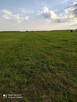 Okazja Działka rolna 16zl/m2 1 ha Stanisławów koło Dąbrówki - 4