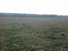 siedlisko choiny 2,7 ha - 3