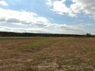siedlisko choiny 2,7 ha - 2
