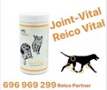 JOINT-VITAL Dodatek żywieniowy dla psów i kotów Reico Vital - 3