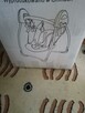 Sprzedam - 2