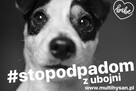 Karma i odżywki dla zwierząt Reico Vital Pies/ kot/ koń - 8