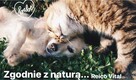Karma i odżywki dla zwierząt Reico Vital Pies/ kot/ koń - 3