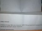 obraz wolska 2006 sztuka współczesna - 4