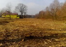 Ogrody Prace Porządkowe Wycinki Ogrodzenia Kompleksowo Inne - 5