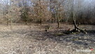Czyszczenie porządkowanie działek Sprzątanie po Budowie Inne - 2