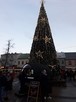 Wino Grzane Beczka Pawilon Duża Beczka - 3