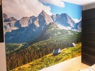 FOTOTAPETA na wymiar, fototapety DRUK PRODUCENT aplikacja FV - 3
