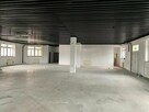 Do wynajęcia lokal 360m2 - 8