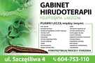 Rehabilitacja masaż, Hirudoterapia - 14