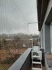 Siatka na balkon, na ptaki, siatka dla kota, gołębie, kolce - 10