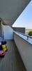Siatka na balkon, na ptaki, siatka dla kota, gołębie, kolce - 3