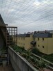 Siatka na balkon, na ptaki, siatka dla kota, gołębie, kolce - 5