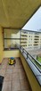 Siatka na balkon, na ptaki, siatka dla kota, gołębie, kolce - 7