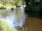 Spływy kajakowe Bastek Nidą - 14