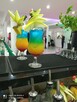 Drink bar Rose bar - 5