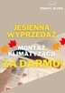 Montaż i projektowanie klimatyzacji/ jesienna promocja - 1
