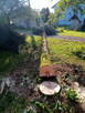 Wycinka drzew, pielęgnacja ogrodów - 5