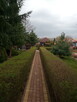 Wycinka drzew, pielęgnacja ogrodów - 6
