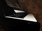 Akordeon Hohner Pacific IVT, 120 basów, głosy Cagnoni - 7