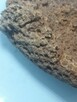 Koralowiec denkowy Favosites skamielina - 8