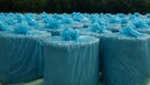 Worki do sianokiszonki Blue Bag wkłady big bagów kukurydza