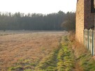 Działka w Ludwikowie, gm. Przygodzice, pow. Ostrów Wlkp. - 5