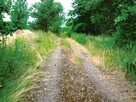 Sprzedam działkę leśną Myszków 7467 m2 - 1
