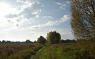Na sprzedaż działka siedliskowa, OBJAZDA - 12