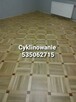 CYKLINOWANIE Jędrzejów Kazimierza Wielka Busko Zdrój - 7