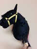 Konik hobby horse - 2