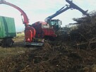 Wycinka sadów od 1 ha za drewno, karczowanie samosiejki. - 2