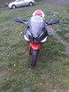 Motocykl DERBI GPR-125 - 1
