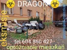 Dragon TANIO oproznianie mieszkań, garaży,piwnic, wywóz gruzu - 1