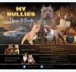 American bully pocket ABKC - 3